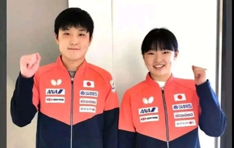 3倍薪资+24小时闪签！张本兄妹叛逃日本，樊振东德甲德比谁能制霸？