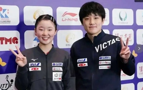 张本兄妹24小时火速叛逃！德甲三倍薪资挖角，樊振东81%胜率能保王座？