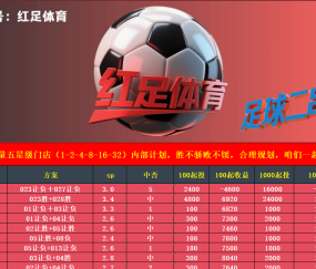 勒沃库森 VS 多特蒙德赛事分析