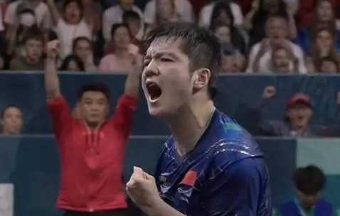 樊振东加盟德甲，年薪高达2000万！工资曝光引发关注