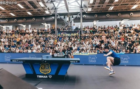 恭喜樊振东！喜提德甲生涯首胜，竞技状态回温3-1胜克罗地亚名将