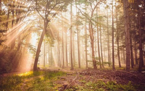 朱婷在意甲联赛单场斩获三十八分