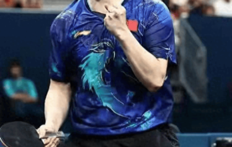 孤勇出征，技术扶贫，樊振东亮相德甲6个月，央视锐评句句说到心坎里