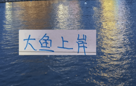 后面中超大鱼！北京国安可能有德甲中后卫 大连英博有意甲中场