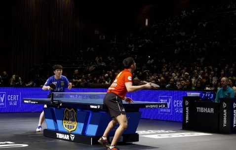 樊振东德甲渐入佳境，卡林离任，国际乒联岗位大调，丹顿专职WTT