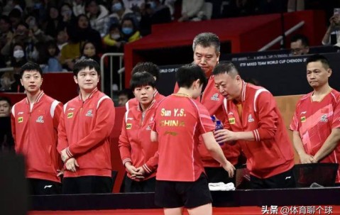 樊振东官宣加盟德甲联赛，不得不说的三个问题，陈梦会咋选呢？