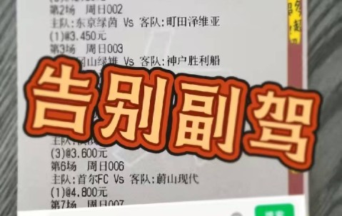 德甲：云达不来梅VS霍芬海姆，专家最新推荐比分预测