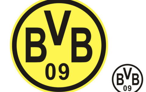 德甲多特蒙德vs荷尔斯泰因：我预测大，5-0、5-1，至少进五个