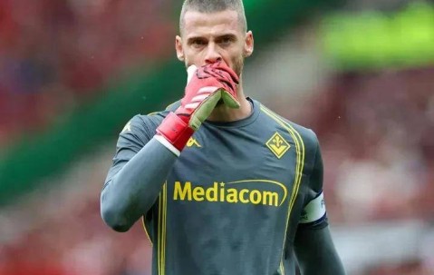 德甲云达不莱梅VS霍芬海姆意大利杯佛罗伦萨VS科莫比分预测