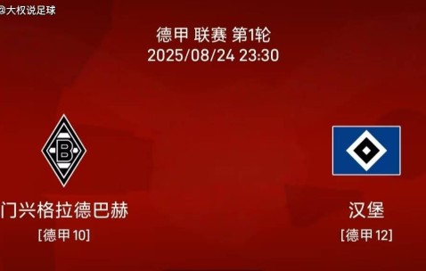 8.24 德甲联赛:门兴vs汉堡比赛分析