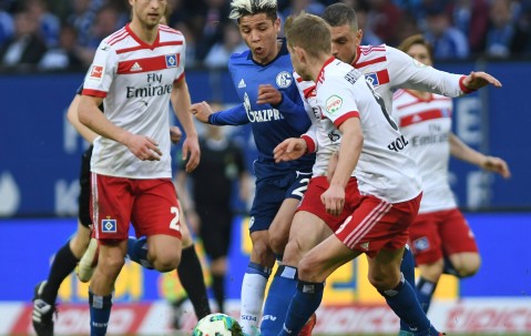 德甲：科隆VS汉堡 今日竞彩足球赛事赛前分析