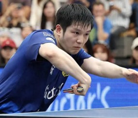 恭喜樊振东再添两场胜利，新年保持不败，德甲联赛持续碾压对手