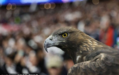 战术与激情的交汇：解密2023年欧冠决赛的背后故事