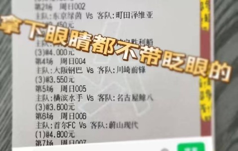 德甲：霍芬海姆VS柏林联合,专家推荐比分预测