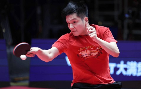 樊振东加盟德甲联赛，净收入预计多少？