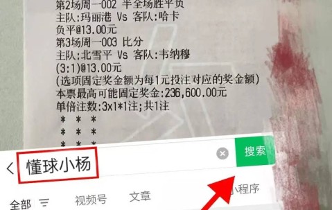 周日030法甲 南特VS巴黎圣日尔曼