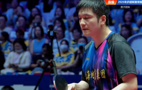 樊振东12连胜，无人能敌！德甲前一战不败，王楚钦非对手