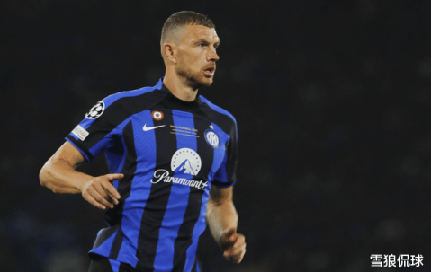 养老联赛？39岁哲科即将重返意甲老将成群德布劳内都算是年轻的