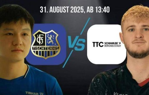 新民体育｜樊振东德甲遇“水土不服”，独家连线德国队友和对手，人人都爱他！