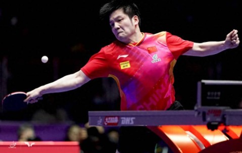 樊振东转战德甲，这一决定让部分在德甲打球的台北球员惊掉下巴