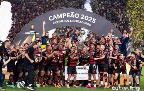 老将主帅齐封神！弗拉门戈解放者杯夺冠，创造三大足坛史诗级纪录