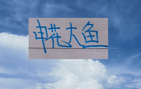 申花大鱼终于上岸了！切尔西教练2026年第一天下课