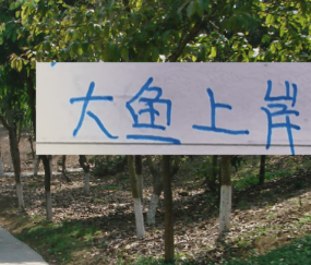 去年中超前5大鱼都上岸 北京国安是德甲大货 海港是本土标王