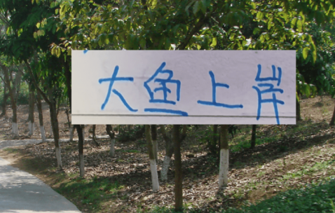 去年中超前5大鱼都上岸 北京国安是德甲大货 海港是本土标王