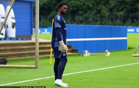 法甲名将奥马里加盟汉堡：能否成为防线新支柱？