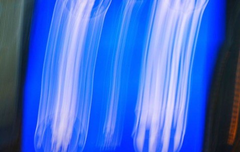 恩佐·马雷斯卡：从挑战者到竞争者，切尔西的革命之路