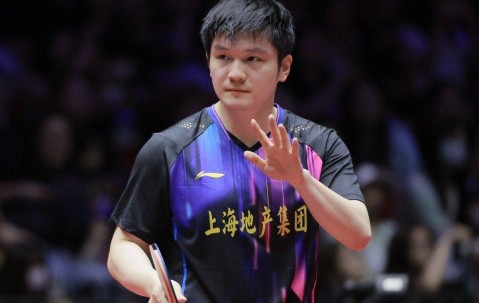 德国媒体透露：樊振东参加德甲时间初定，门票备受追捧