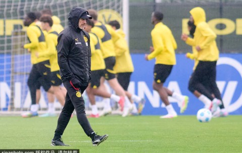 多特蒙德挑战皇马！巴西新星揭秘：阿隆索是关键，我们要创造奇迹