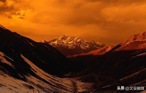 把穆里尼奥踢下课了费内巴切立马花2500万欧签下上赛季18球16助